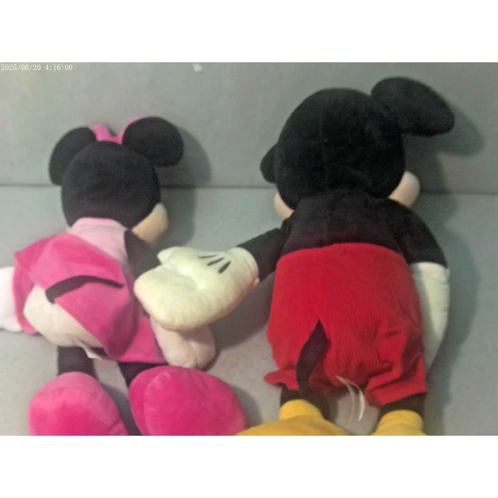 Mickey‎ & Minnie Mouse Plush Disney Store
